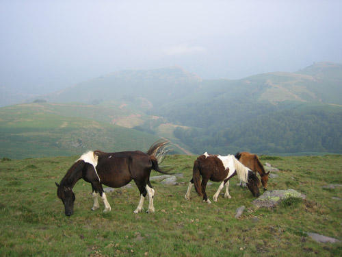 Photo : 02.jpg