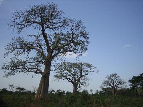 Photo : 03.jpg