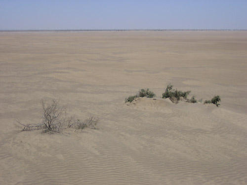 Photo : 04.jpg