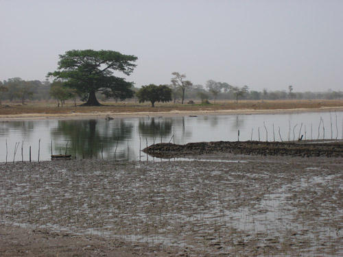 Photo : 07_casamance.jpg